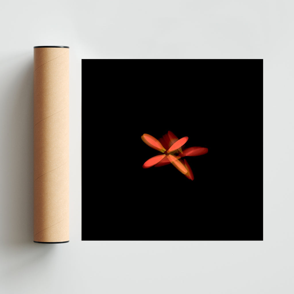 Flor naranja en movimiento - Cuadrado solo print