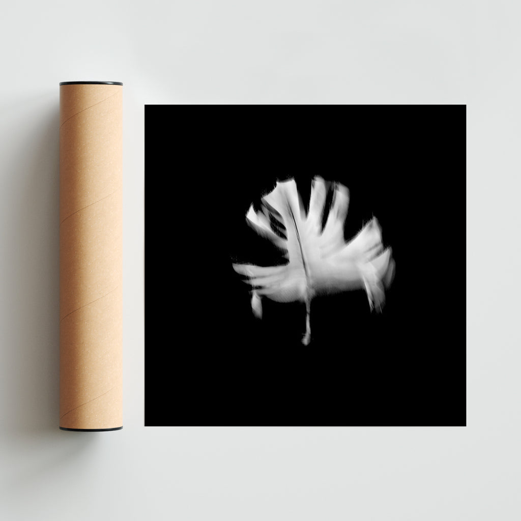 Hoja Negra (de la Serie Viceversa) - Cuadrado solo print