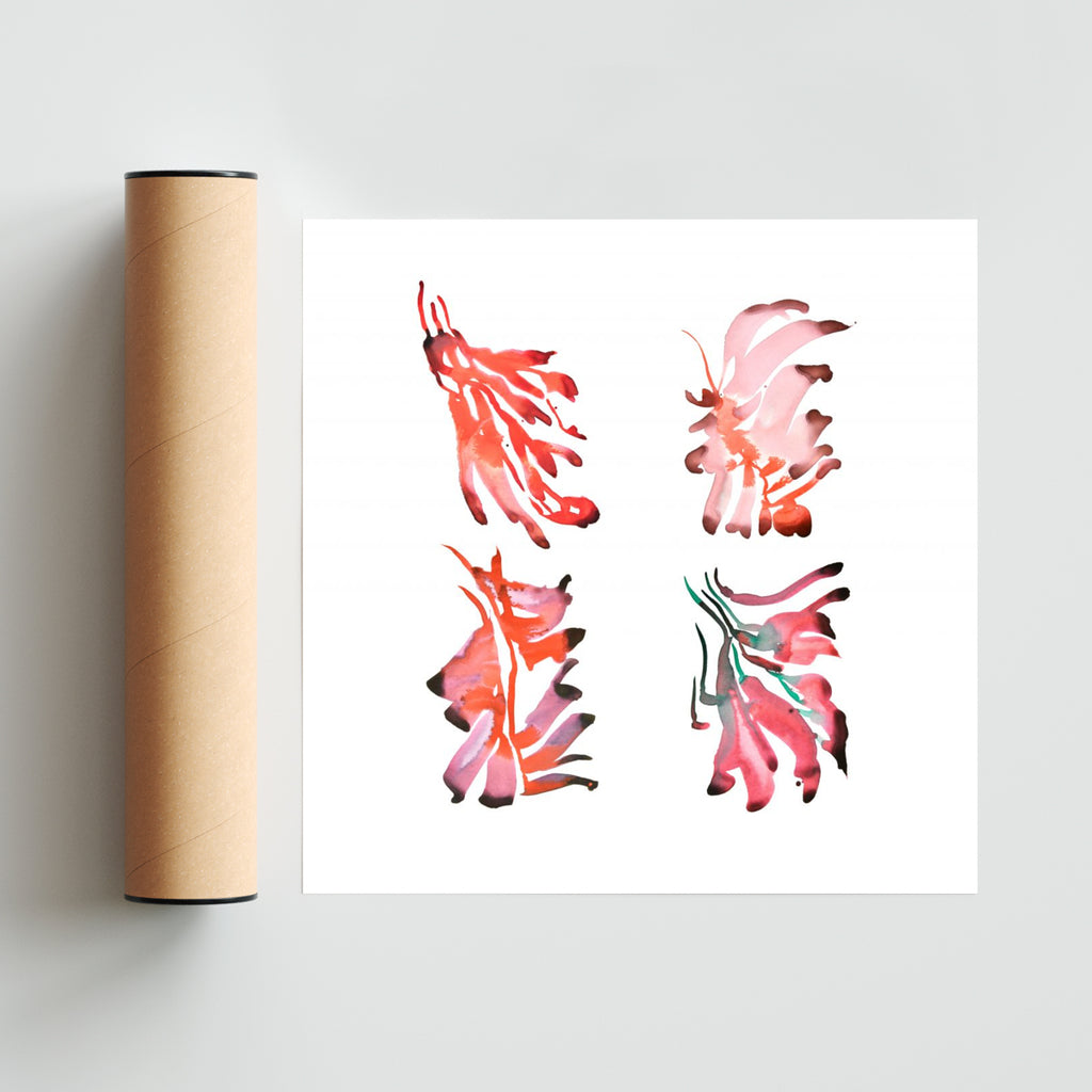 FLORES DE CEIBO 2 - Cuadrado solo print