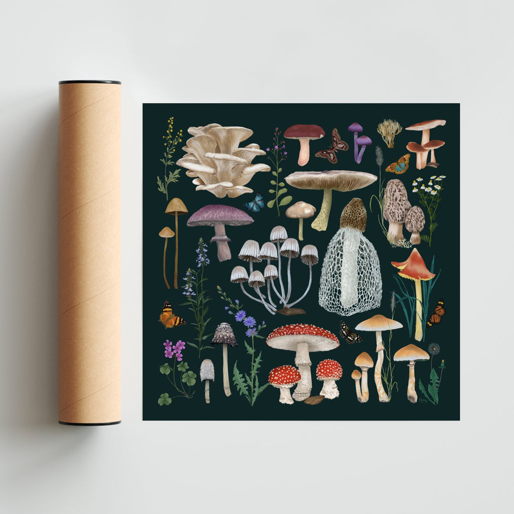 Fungi - Cuadrado solo print