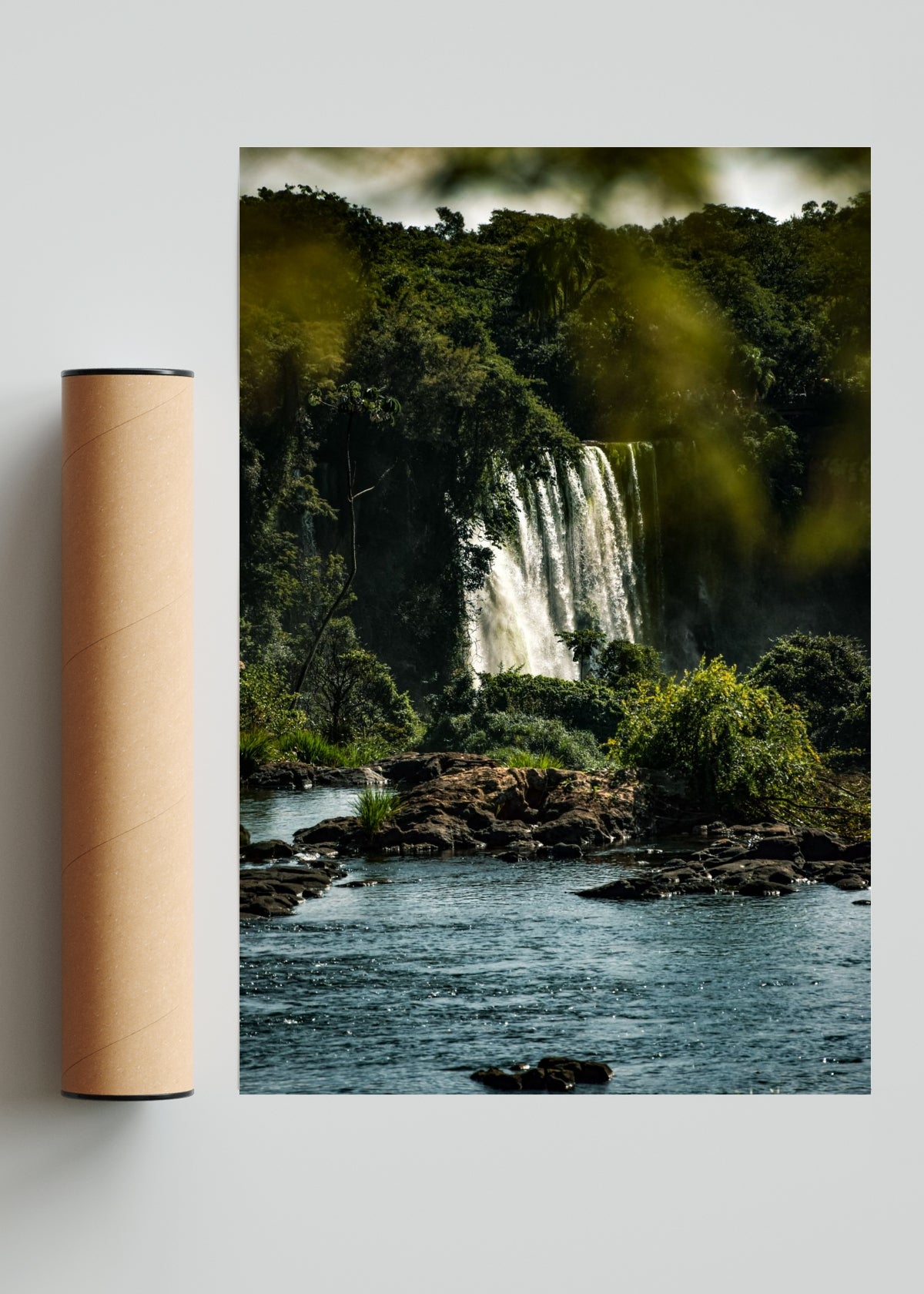 Susurros de la Selva - FotoV Solo print