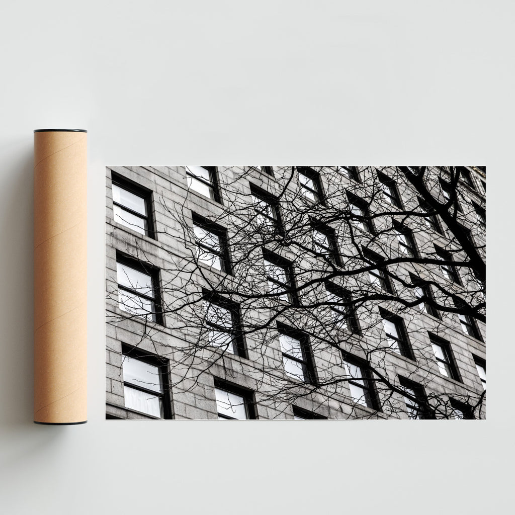 Ventanas de Boston - FotoH solo print