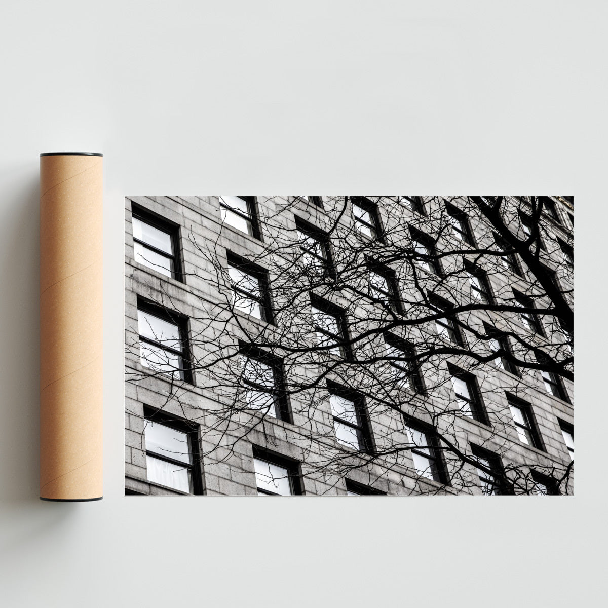 Ventanas de Boston - FotoH solo print
