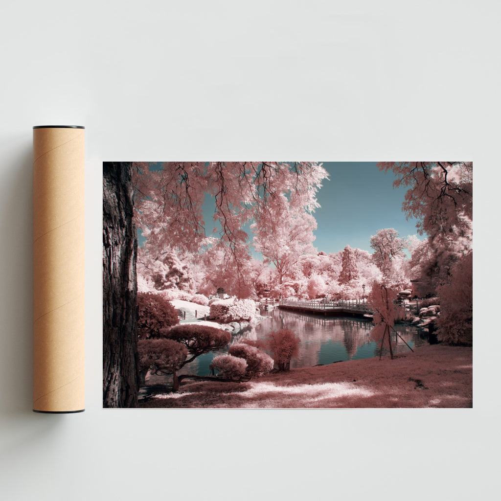 Pink garden - FotoH solo print