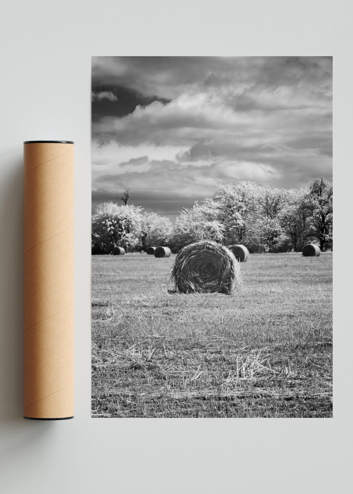 Fardos - FotoV Solo print