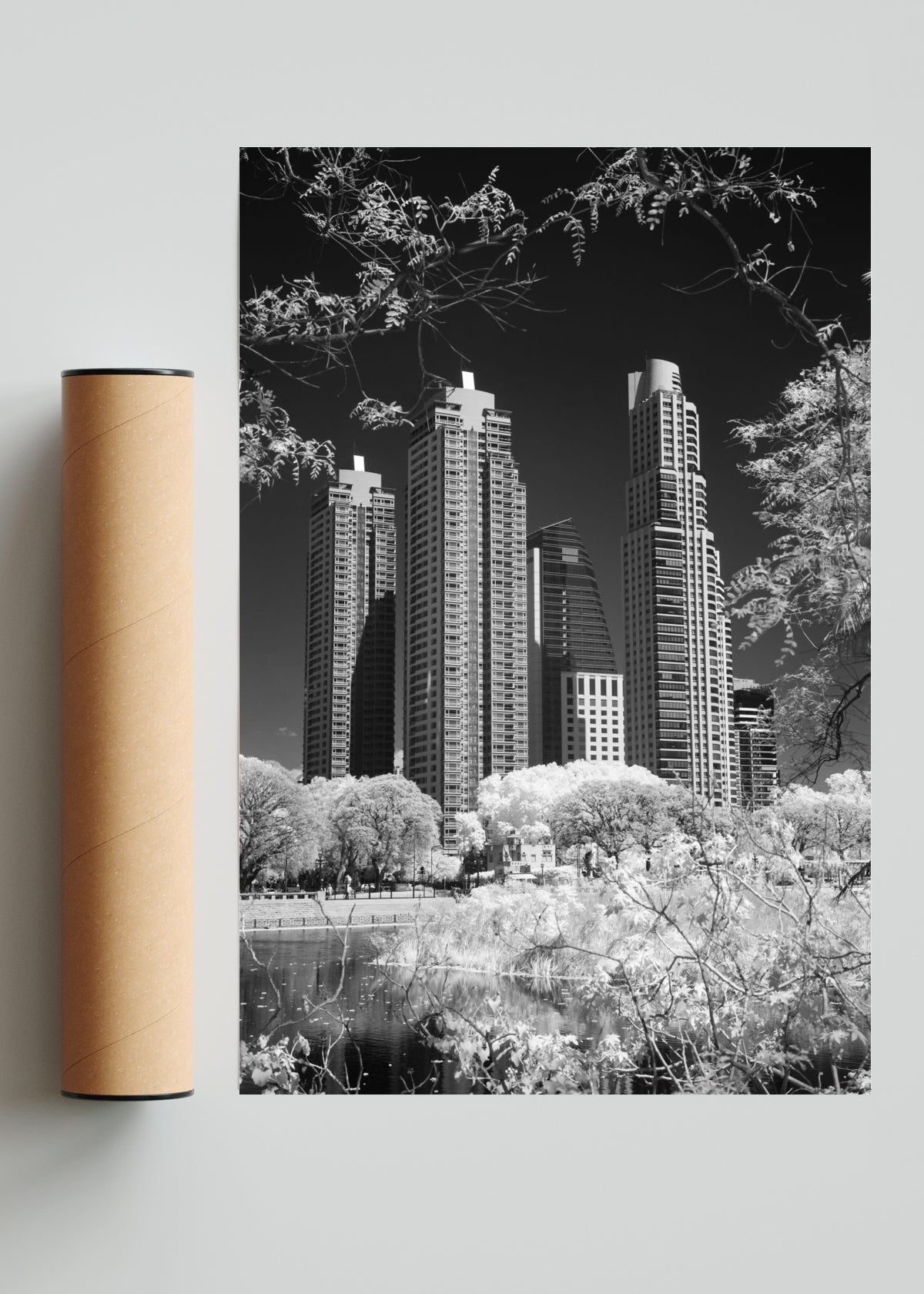 Entre la naturaleza - FotoV Solo print