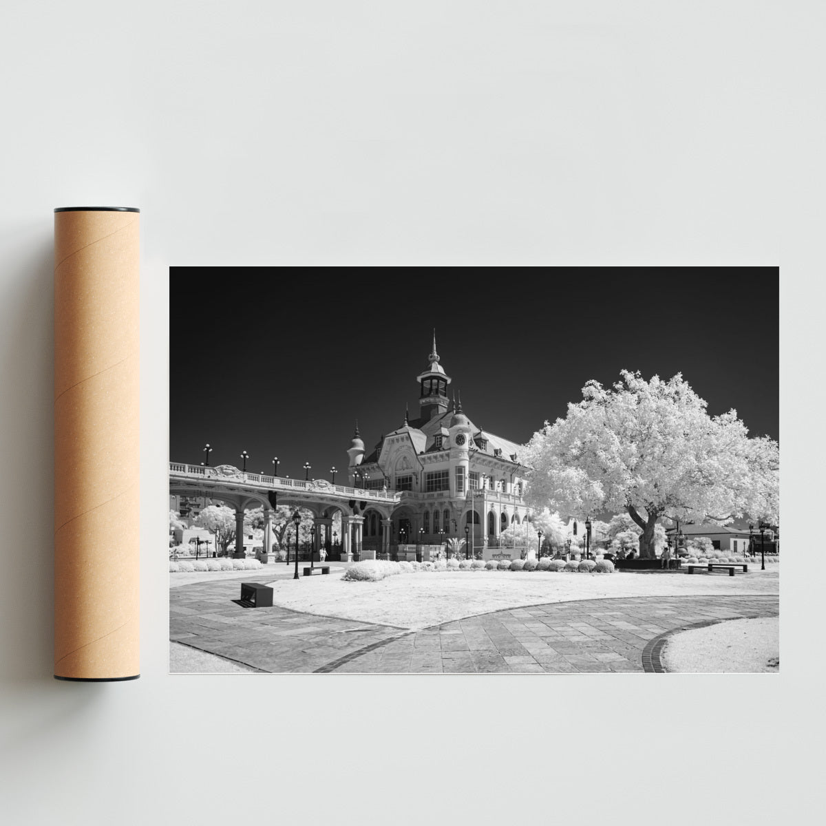 Museo de Arte Tigre - FotoH solo print