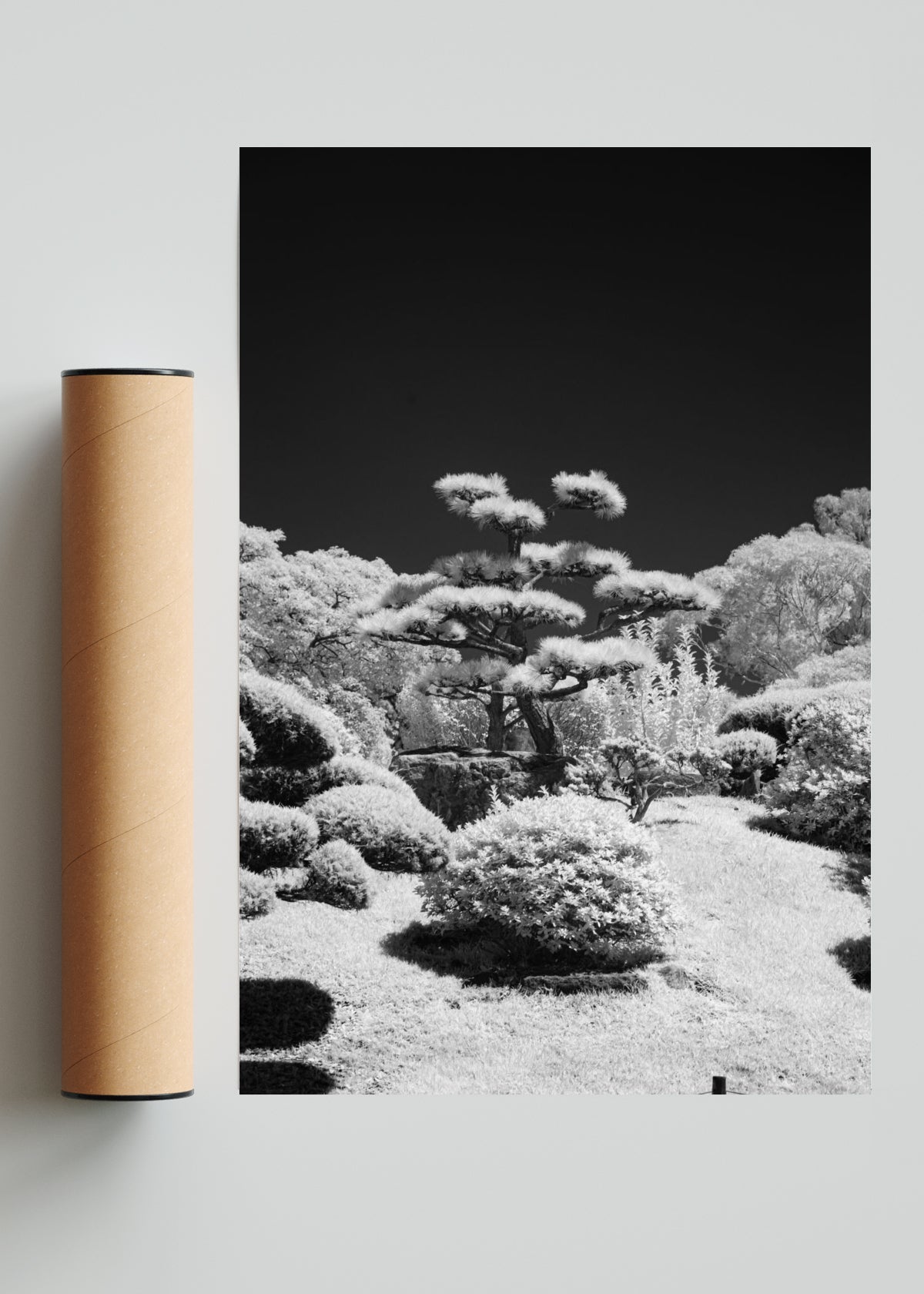 Contraste - FotoV Solo print