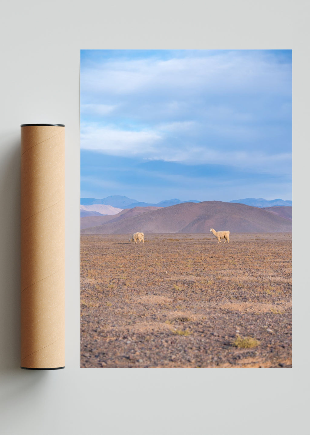 Llamas en la distancia - FotoV Solo print
