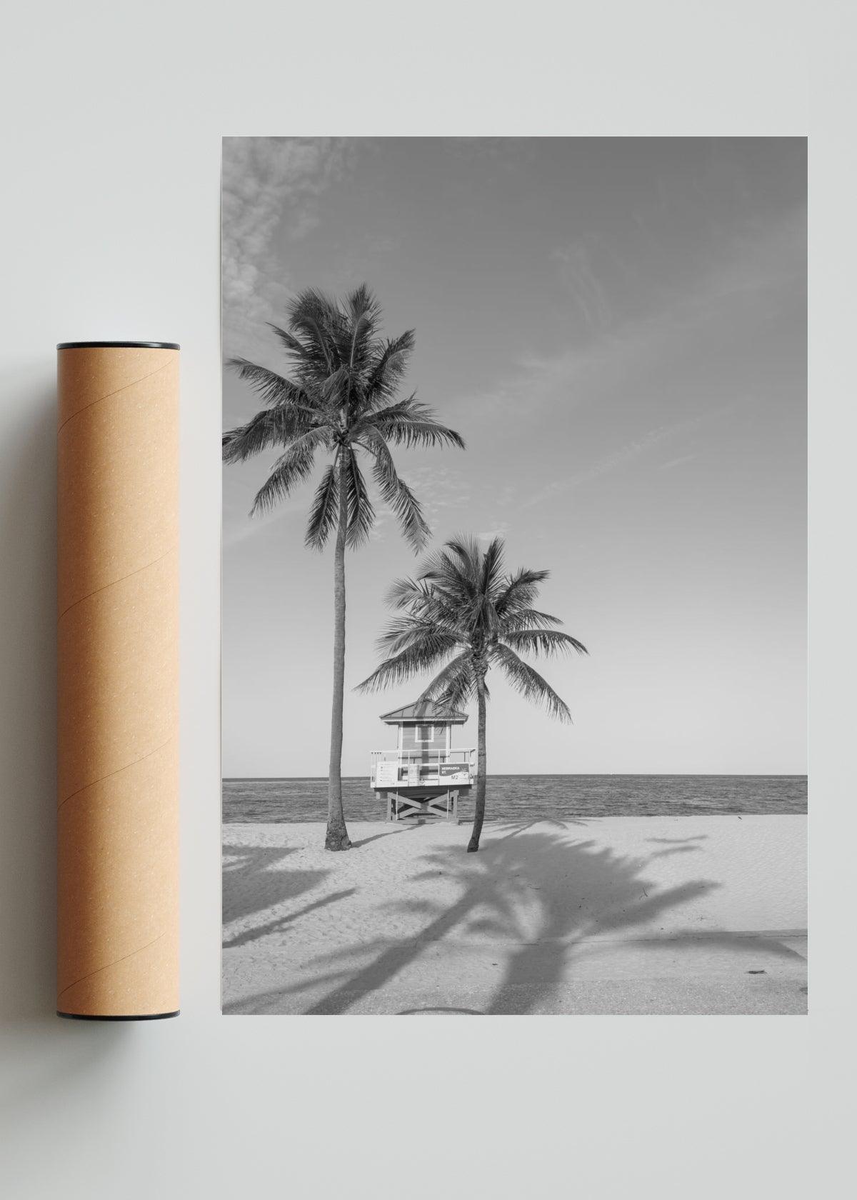 M2 - FotoV Solo print