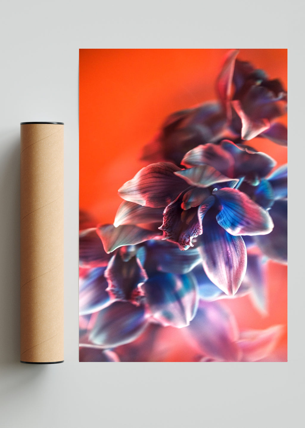 Orquídia I - FotoV Solo print