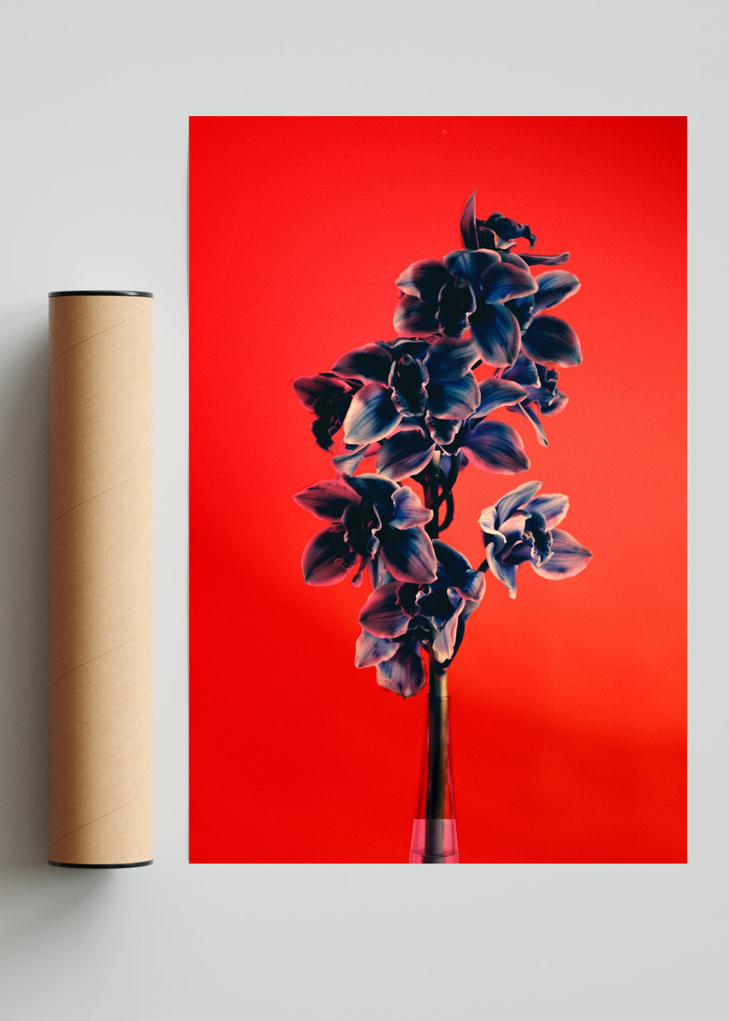 Orquídia II - FotoV Solo print