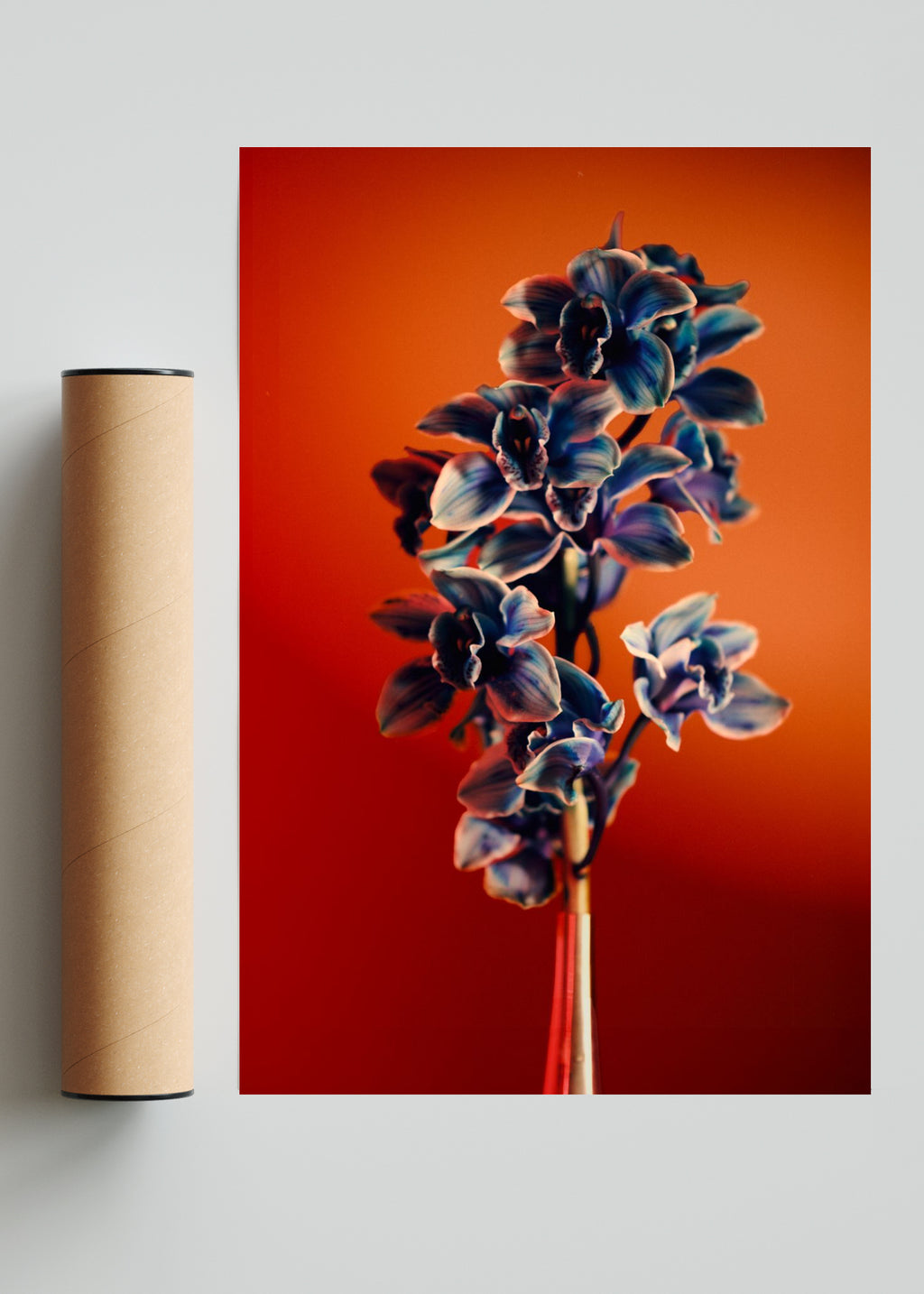 Orquídia III - FotoV Solo print