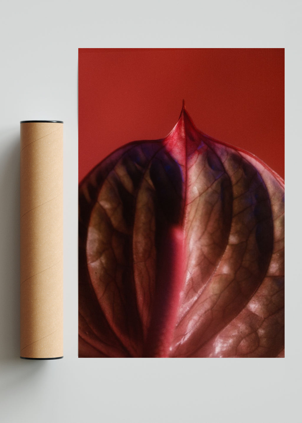 Anturio II - FotoV Solo print
