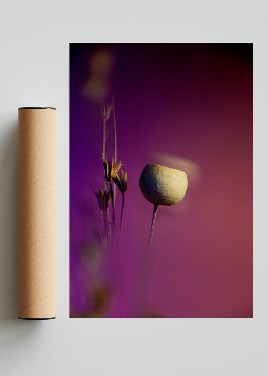Tallo - FotoV Solo print