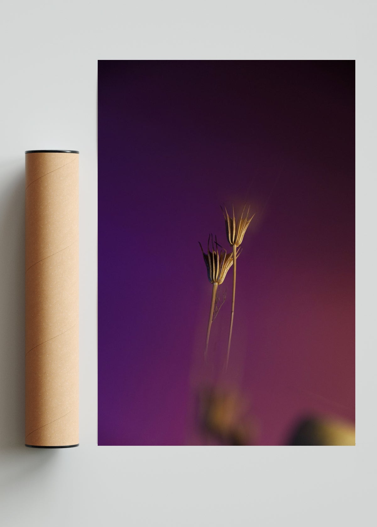 Tallos II - FotoV Solo print