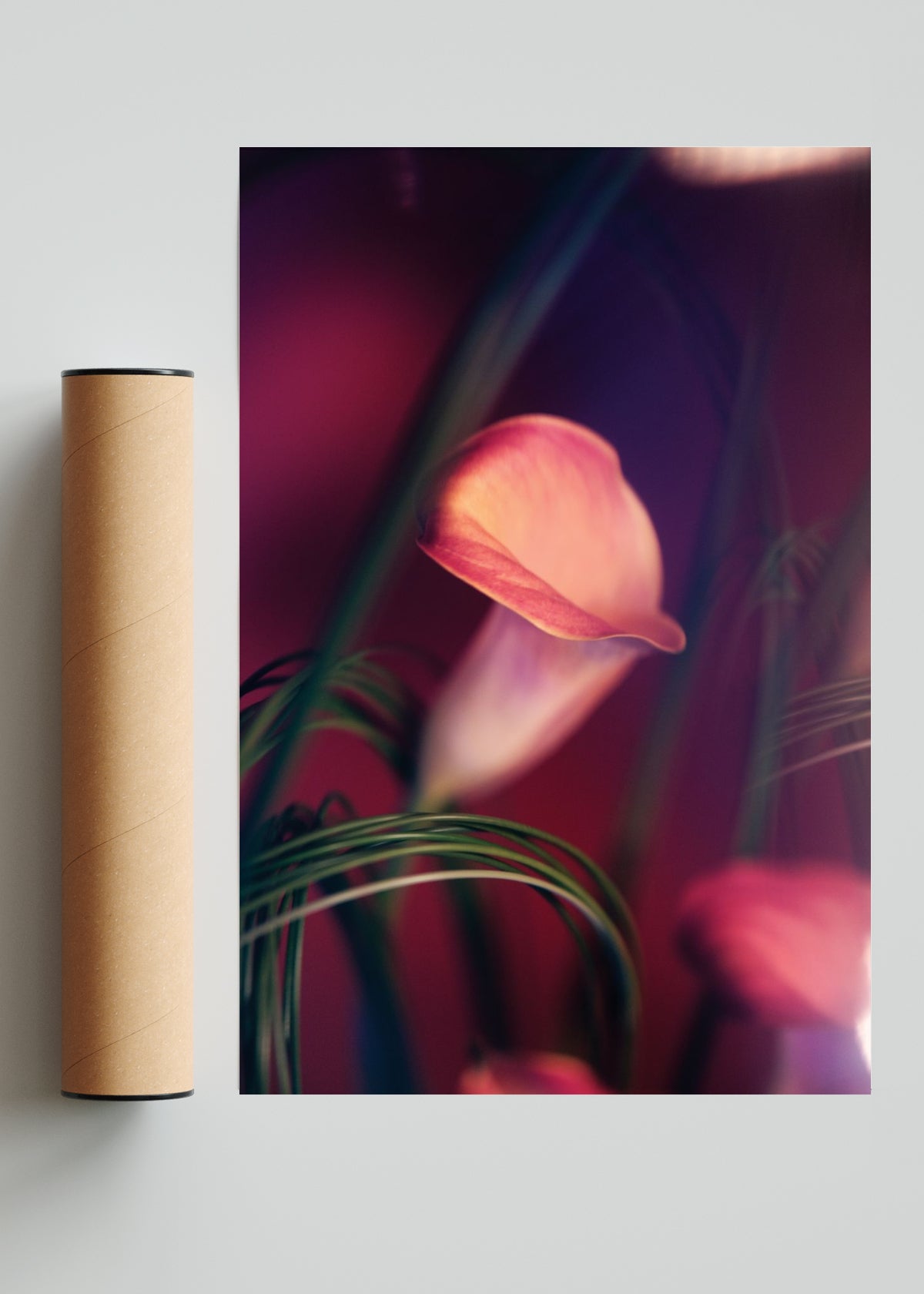 Cala II - FotoV Solo print