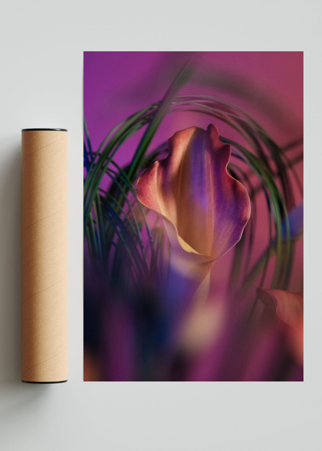 Cala III - FotoV Solo print