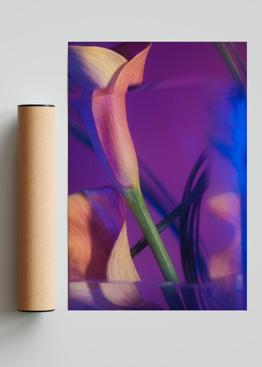 Cala V - FotoV Solo print
