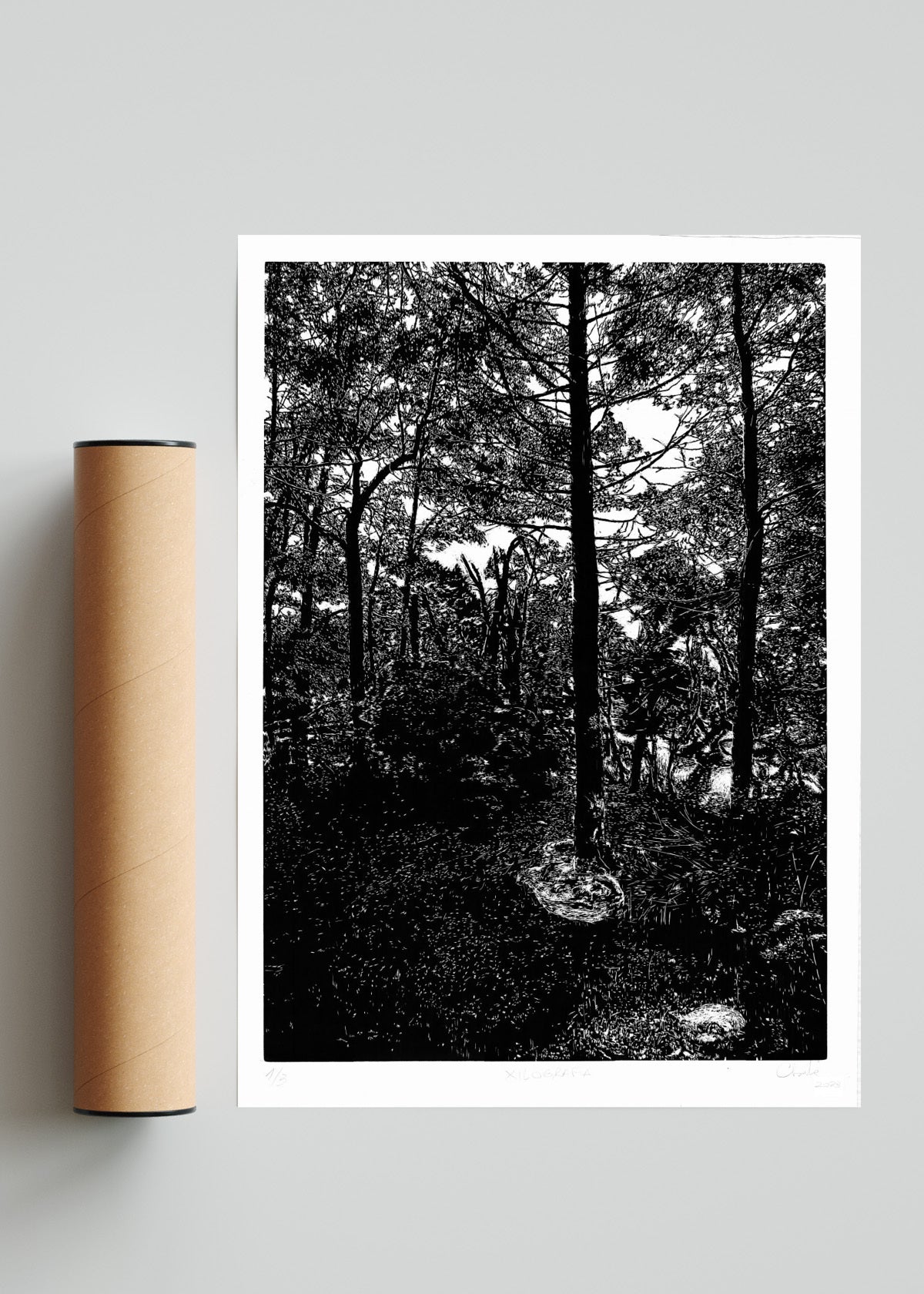 Los Alerces - Retrato solo print