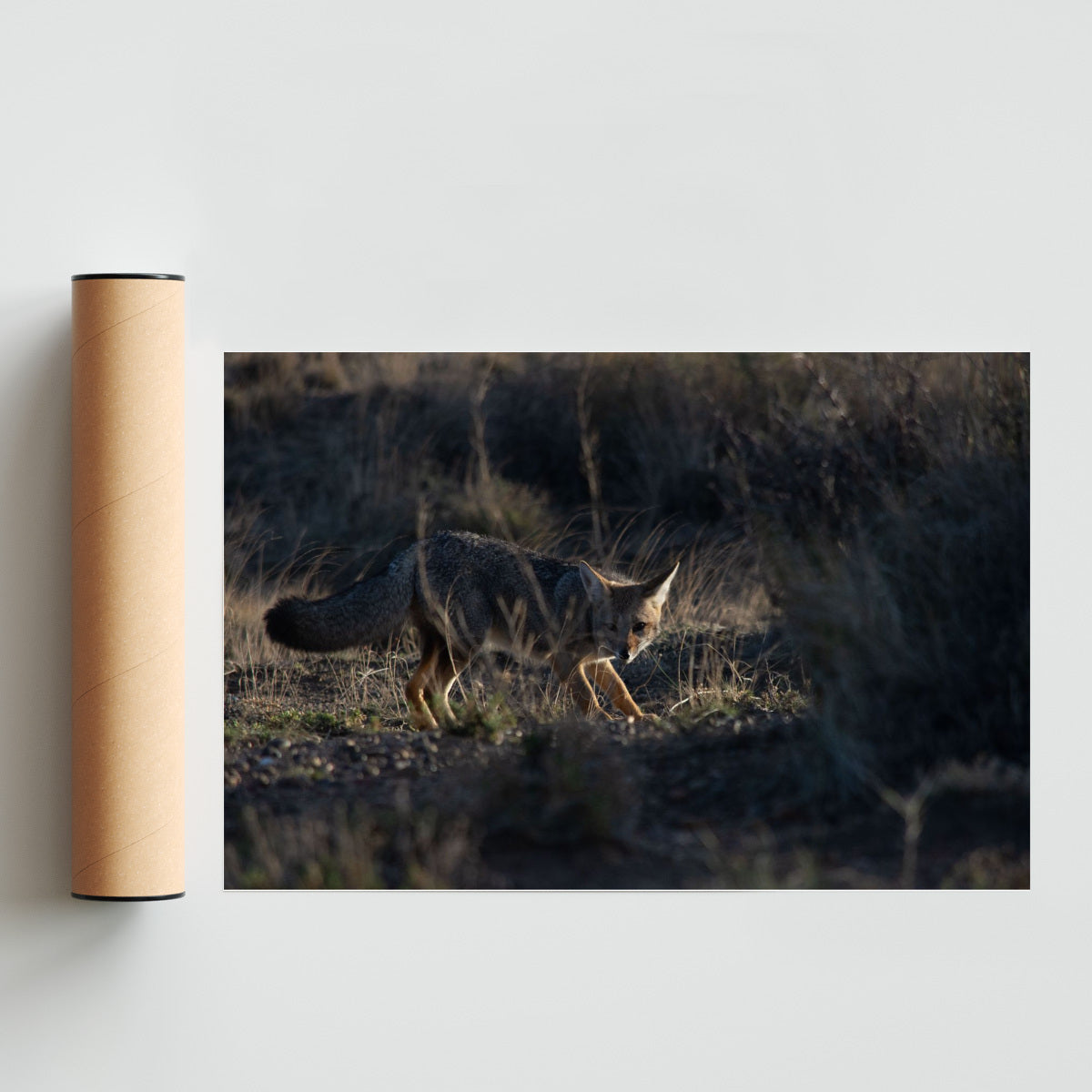 A las escondidas - FotoH solo print