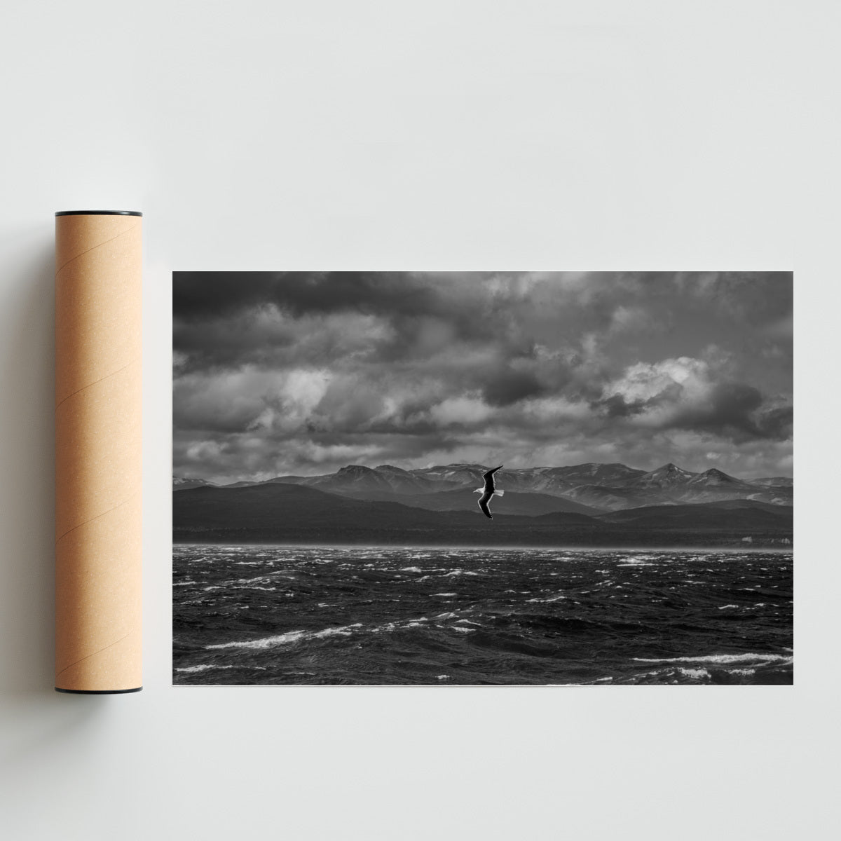 Libertad - FotoH solo print