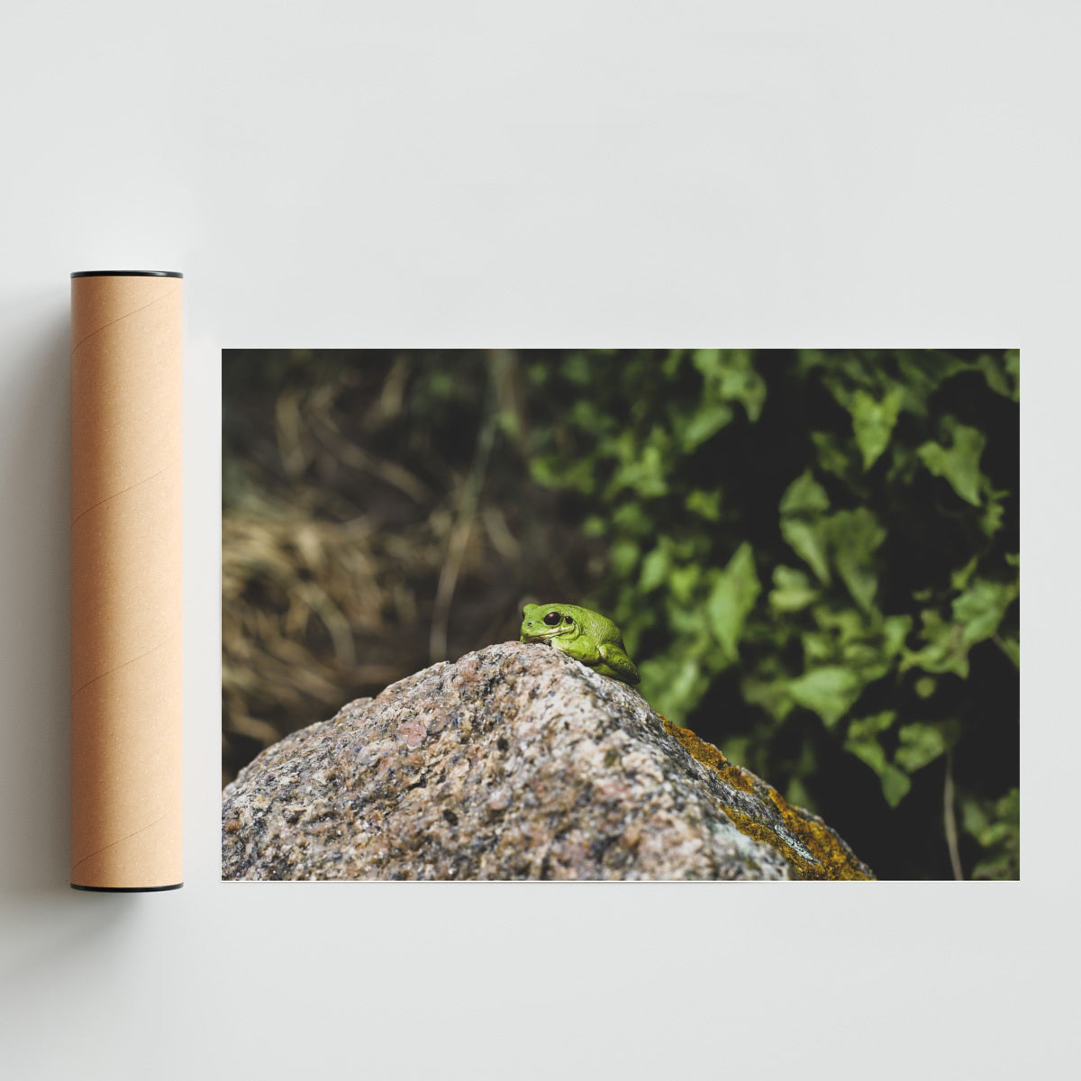 La siesta - FotoH solo print