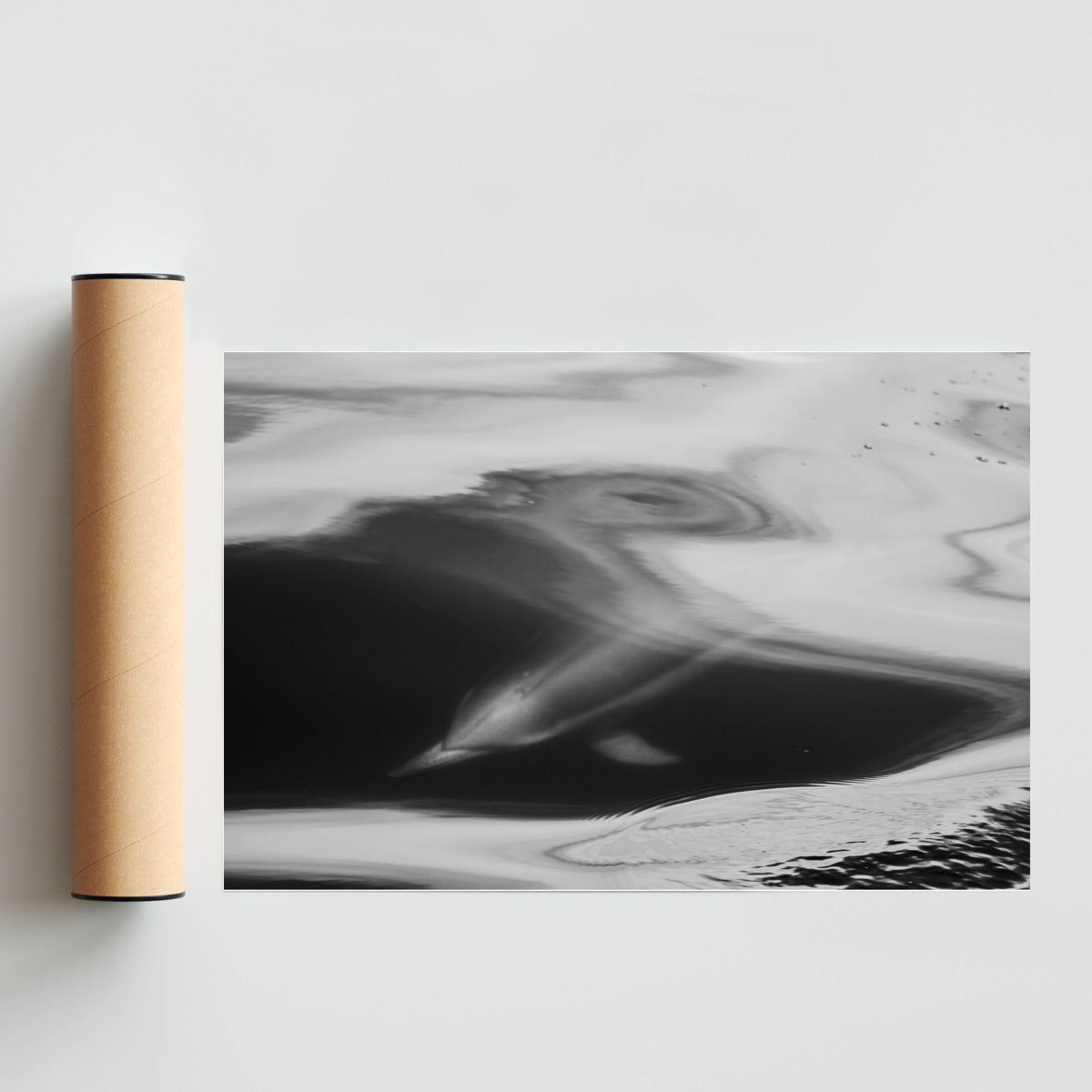 Delfín común - FotoH solo print