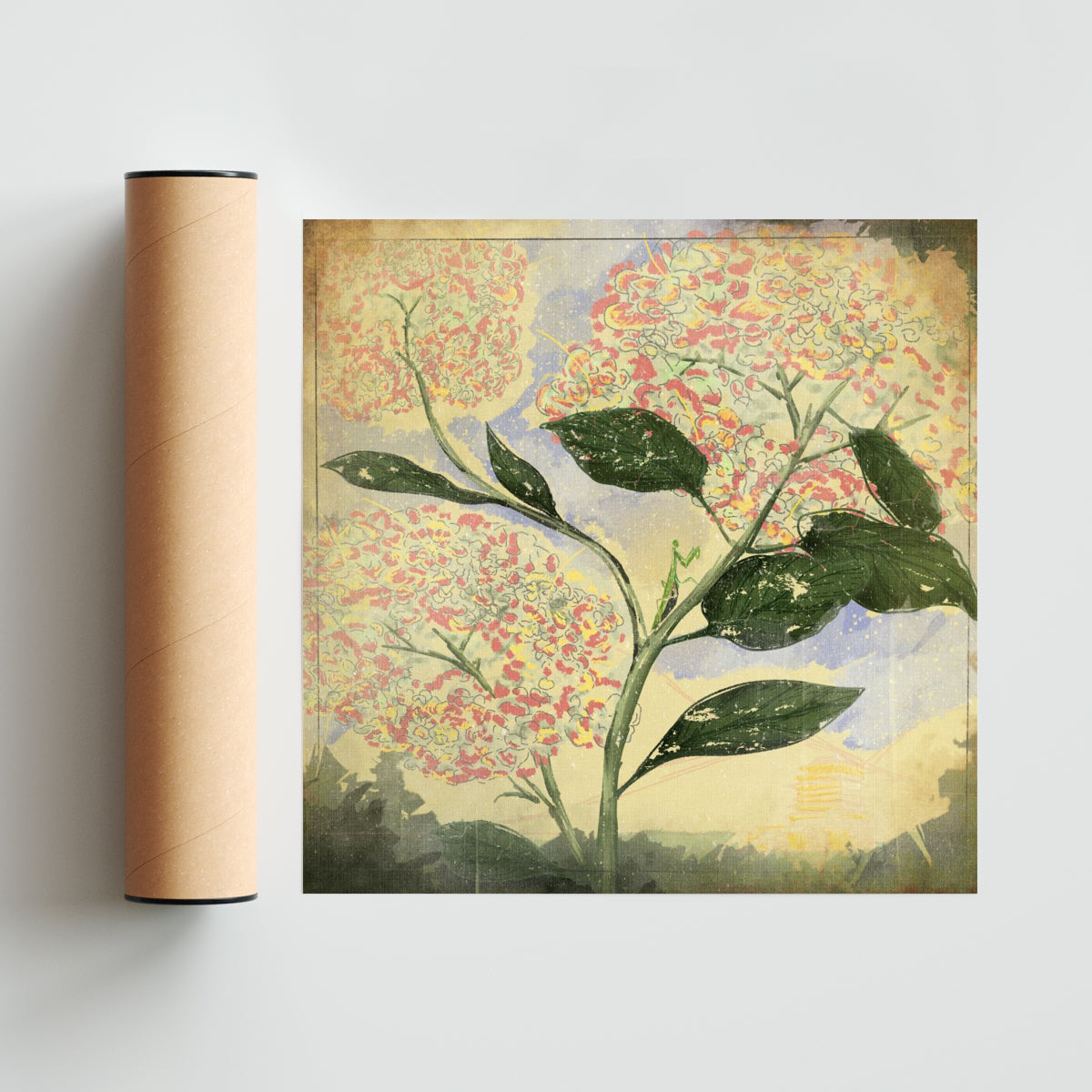 Mantis - Cuadrado solo print
