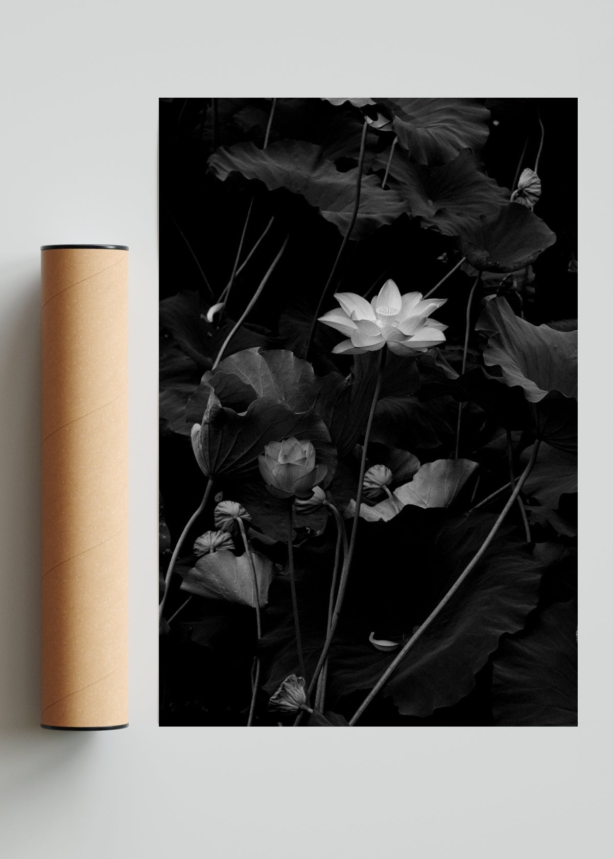 Flor de Loto - FotoV Solo print