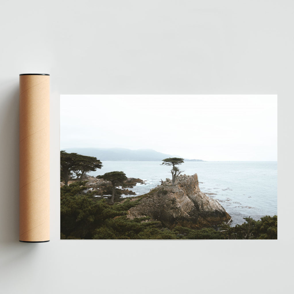 Lonely Cypress - FotoH solo print