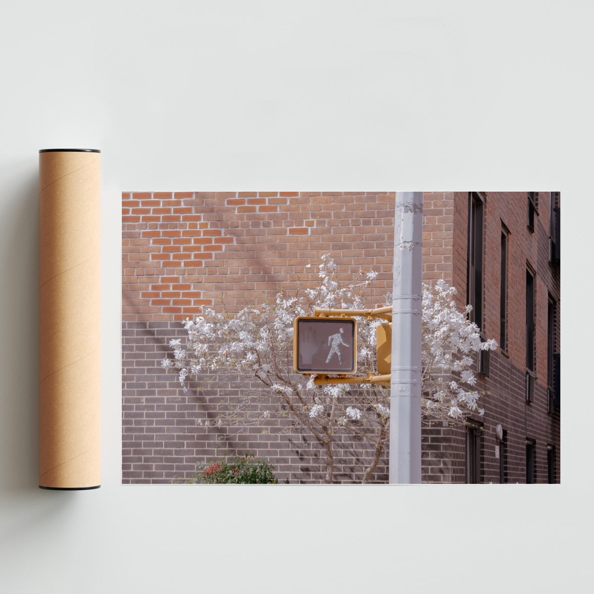 Walk this Way - FotoH solo print