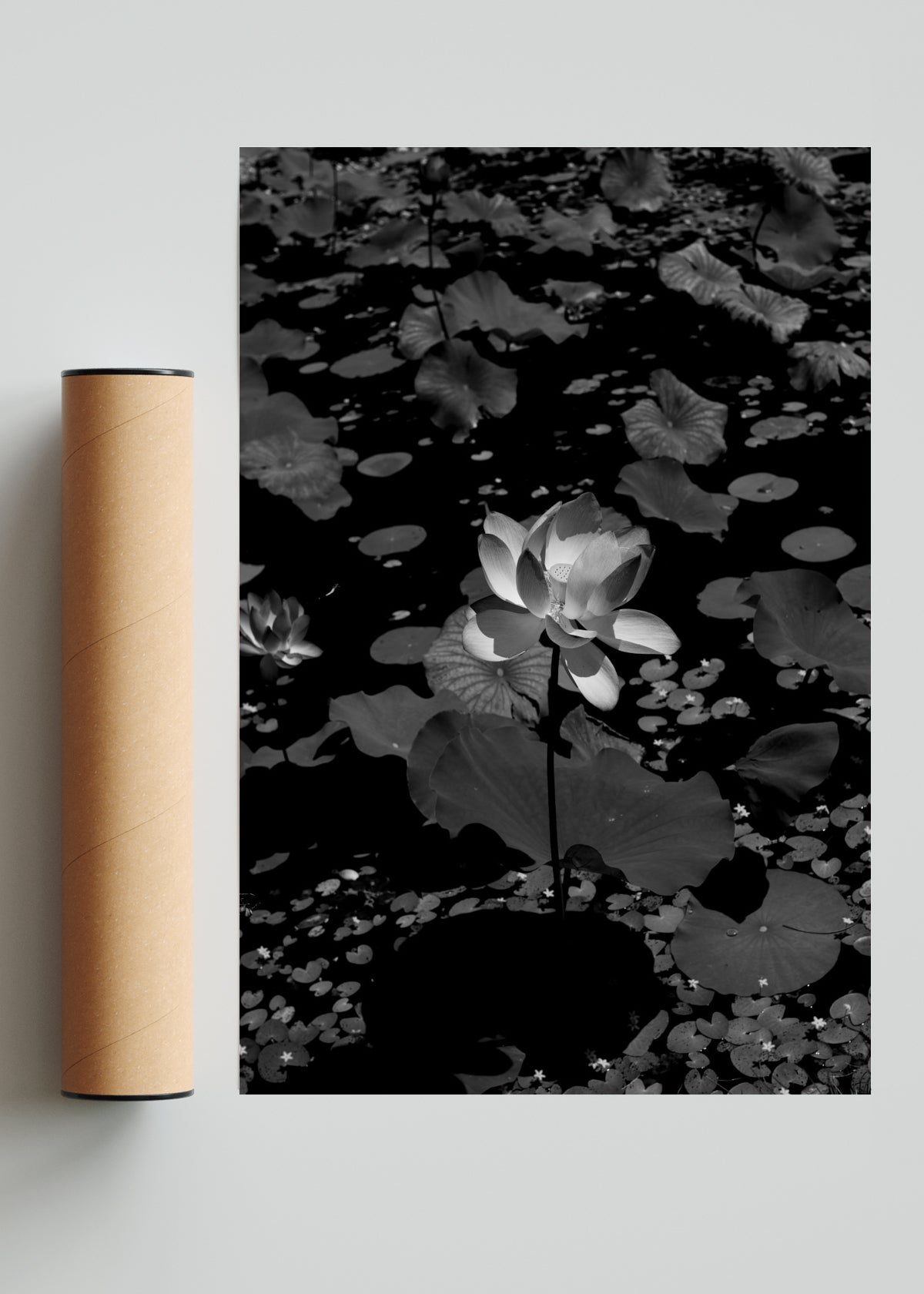 Flor de Loto - FotoV Solo print