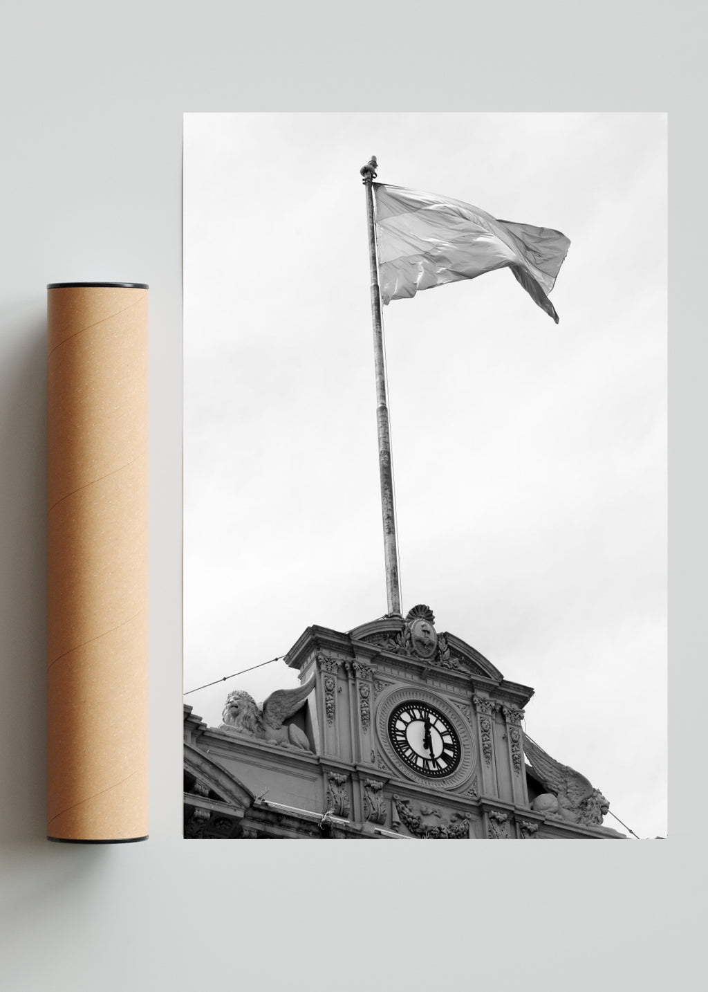 Casa Rosada - FotoV Solo print
