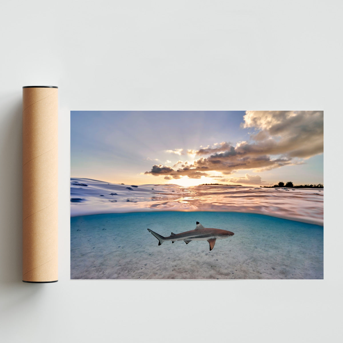 Wild sunset - FotoH solo print