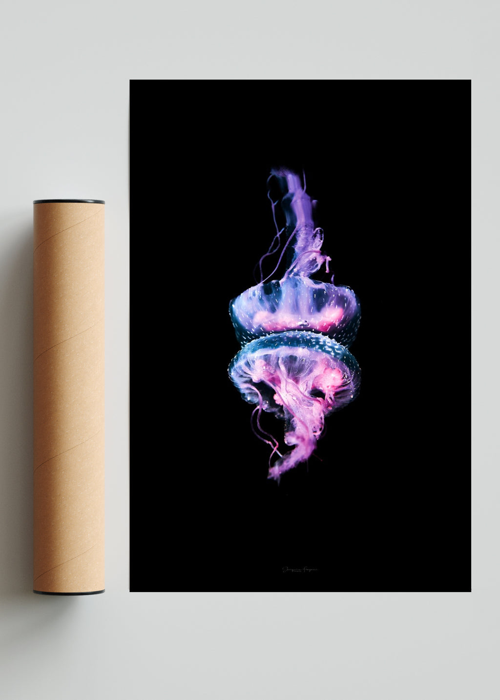 Jelly - FotoV Solo print