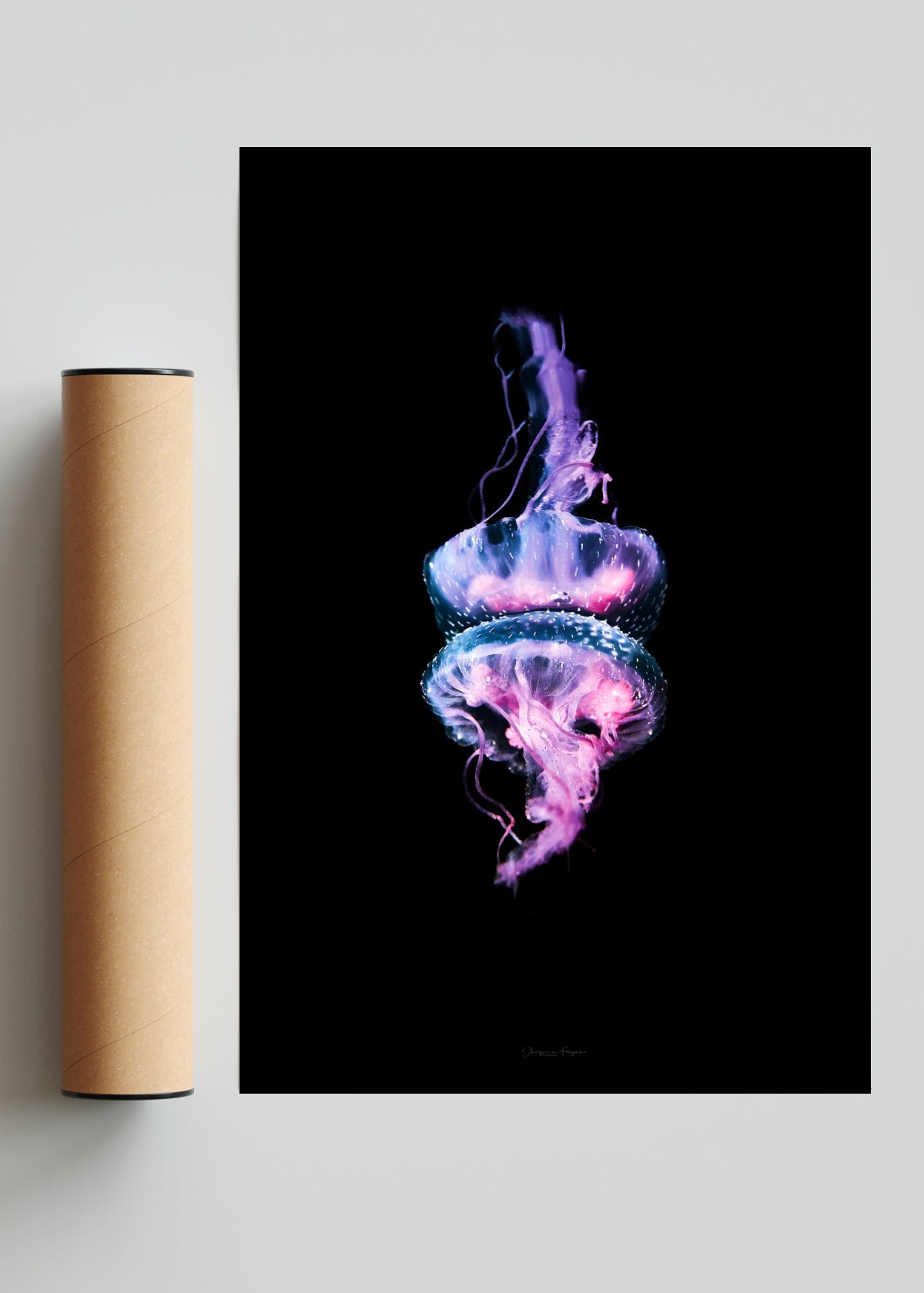 Jelly - FotoV Solo print