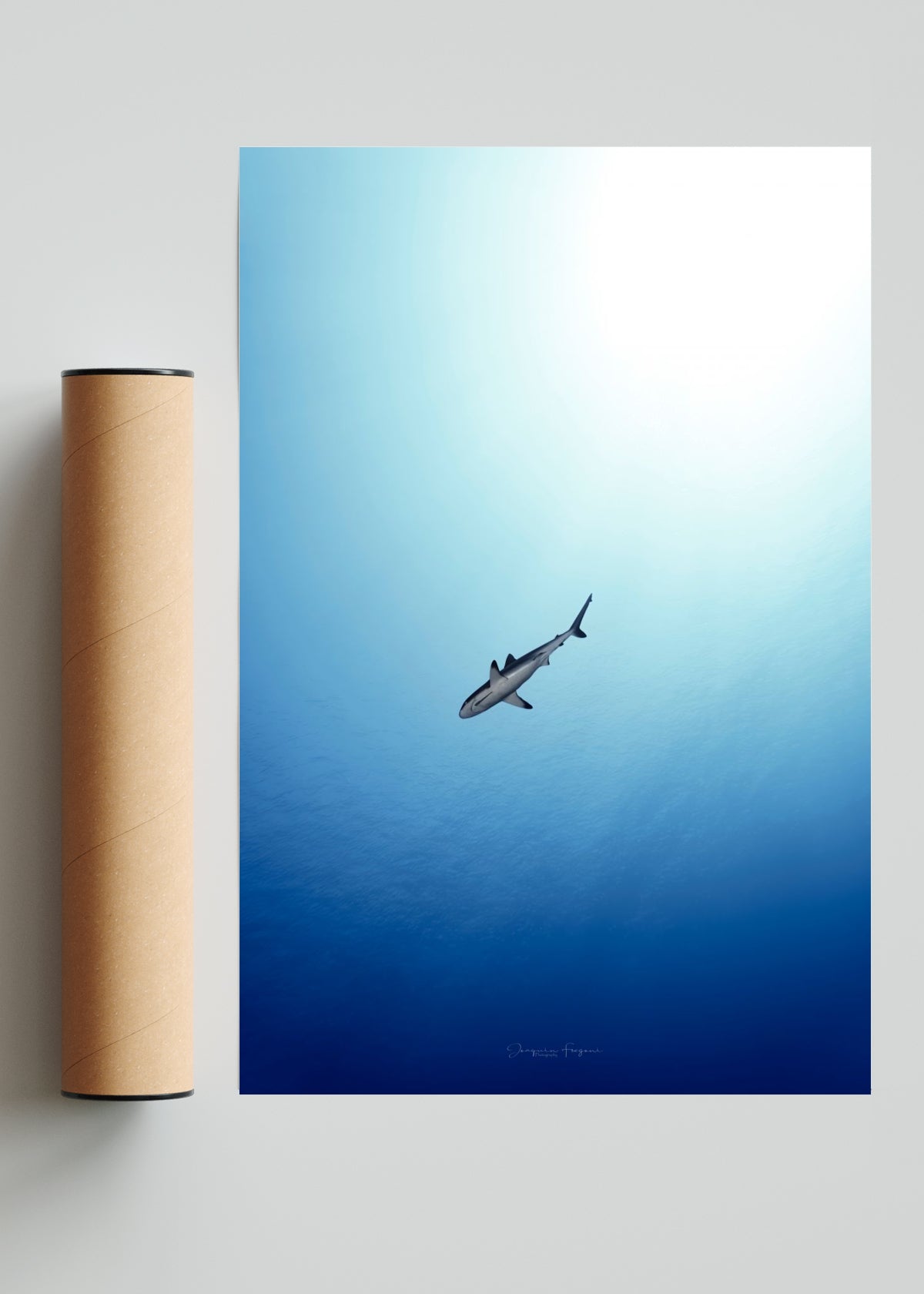 From Below - FotoV Solo print