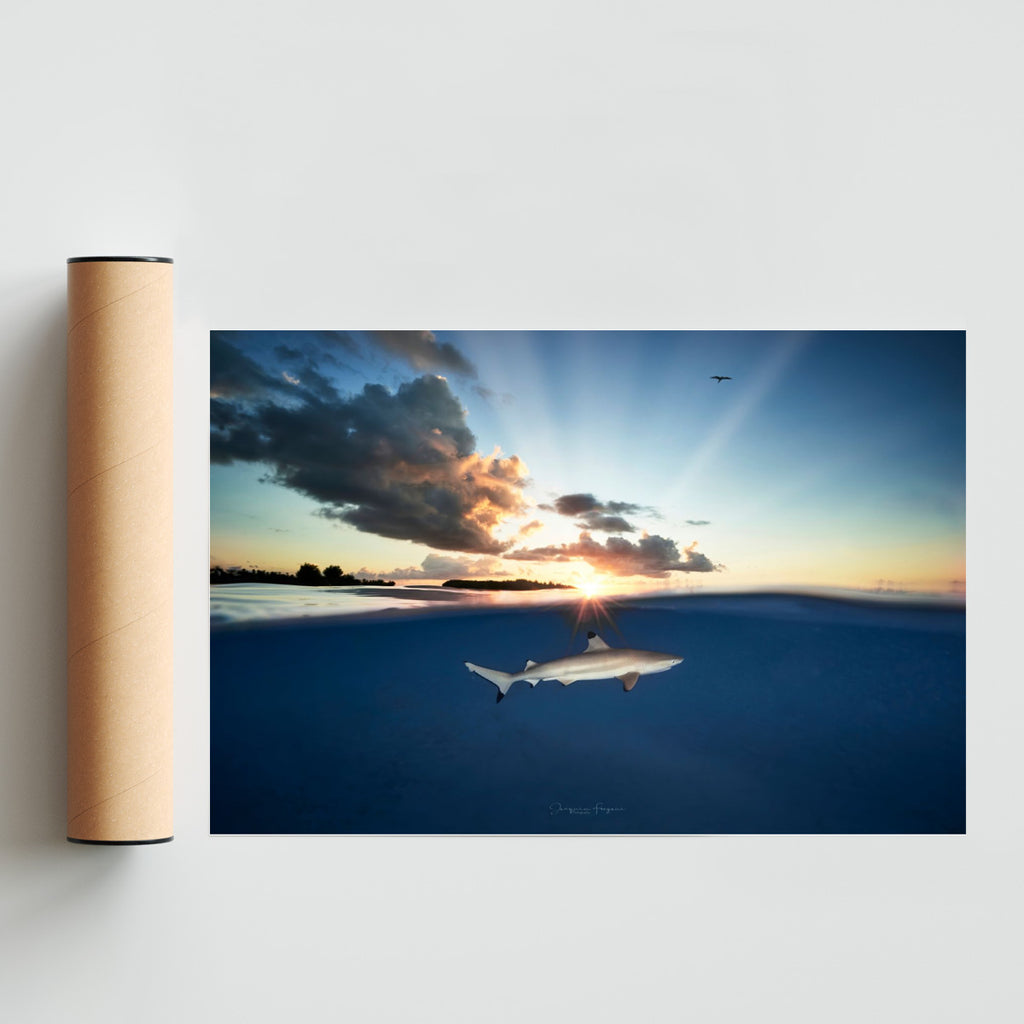 Punta negra bajo el sol - FotoH solo print