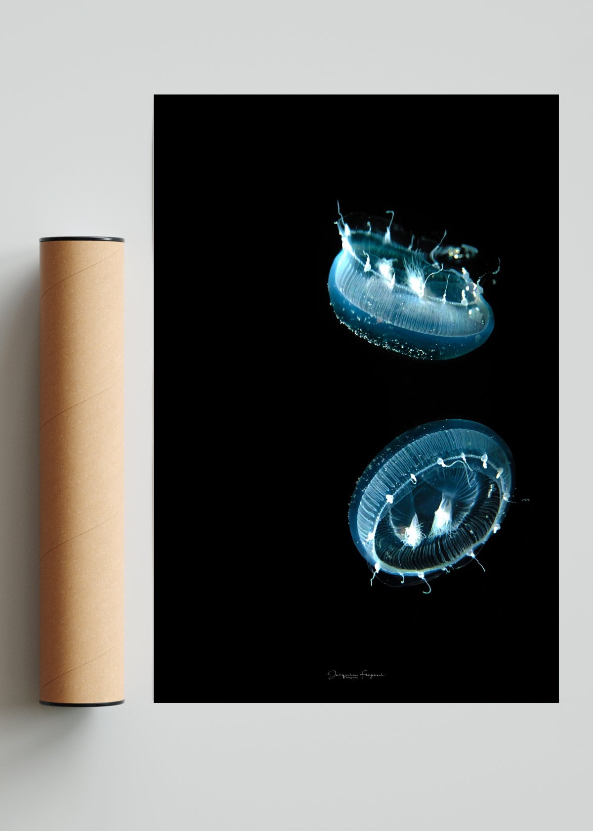 Meduza - FotoV Solo print