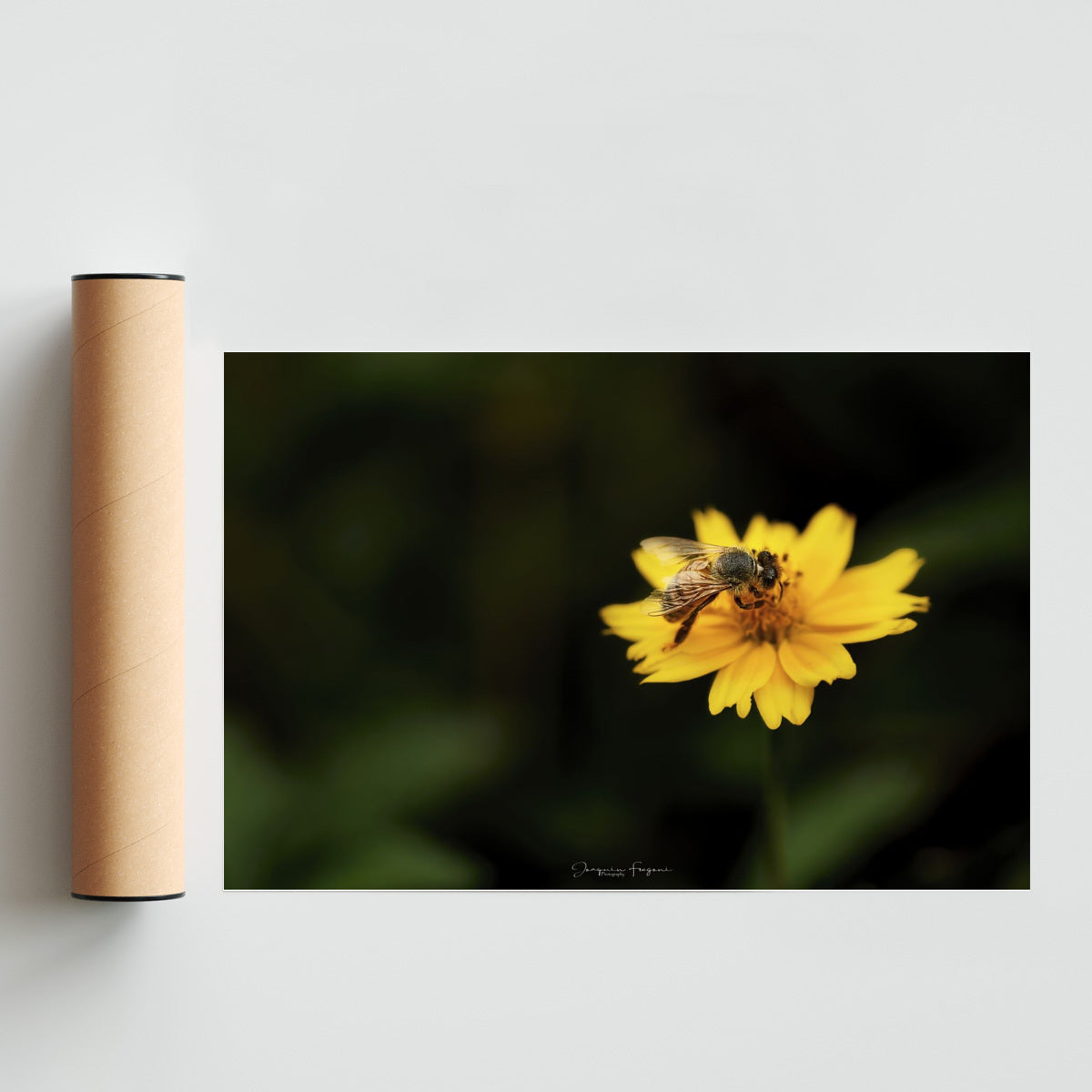 Bee - FotoH solo print
