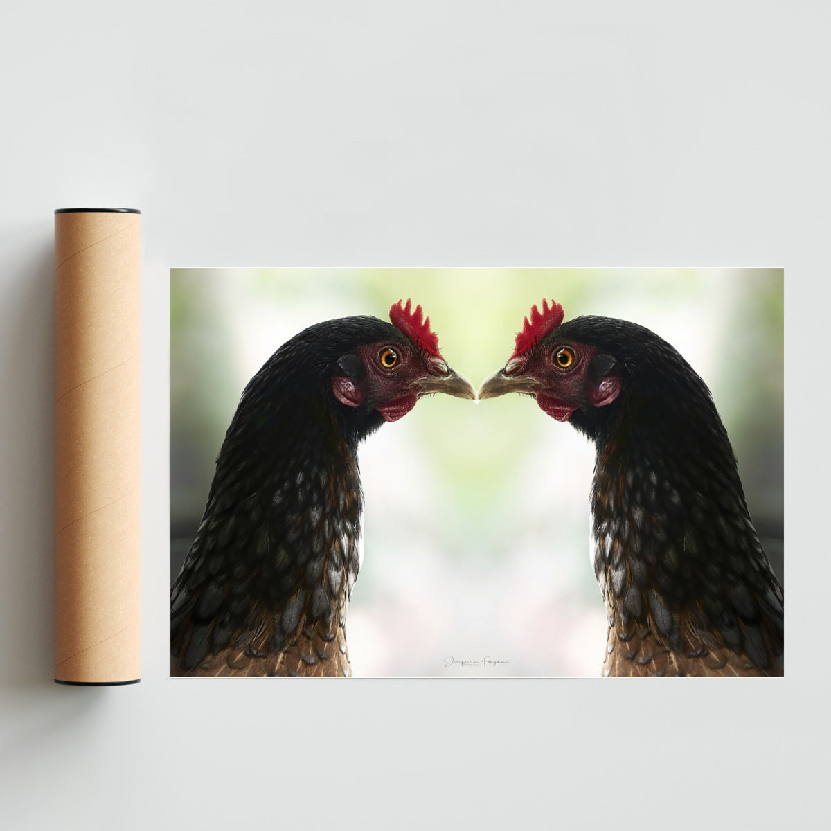 Roosters - FotoH solo print