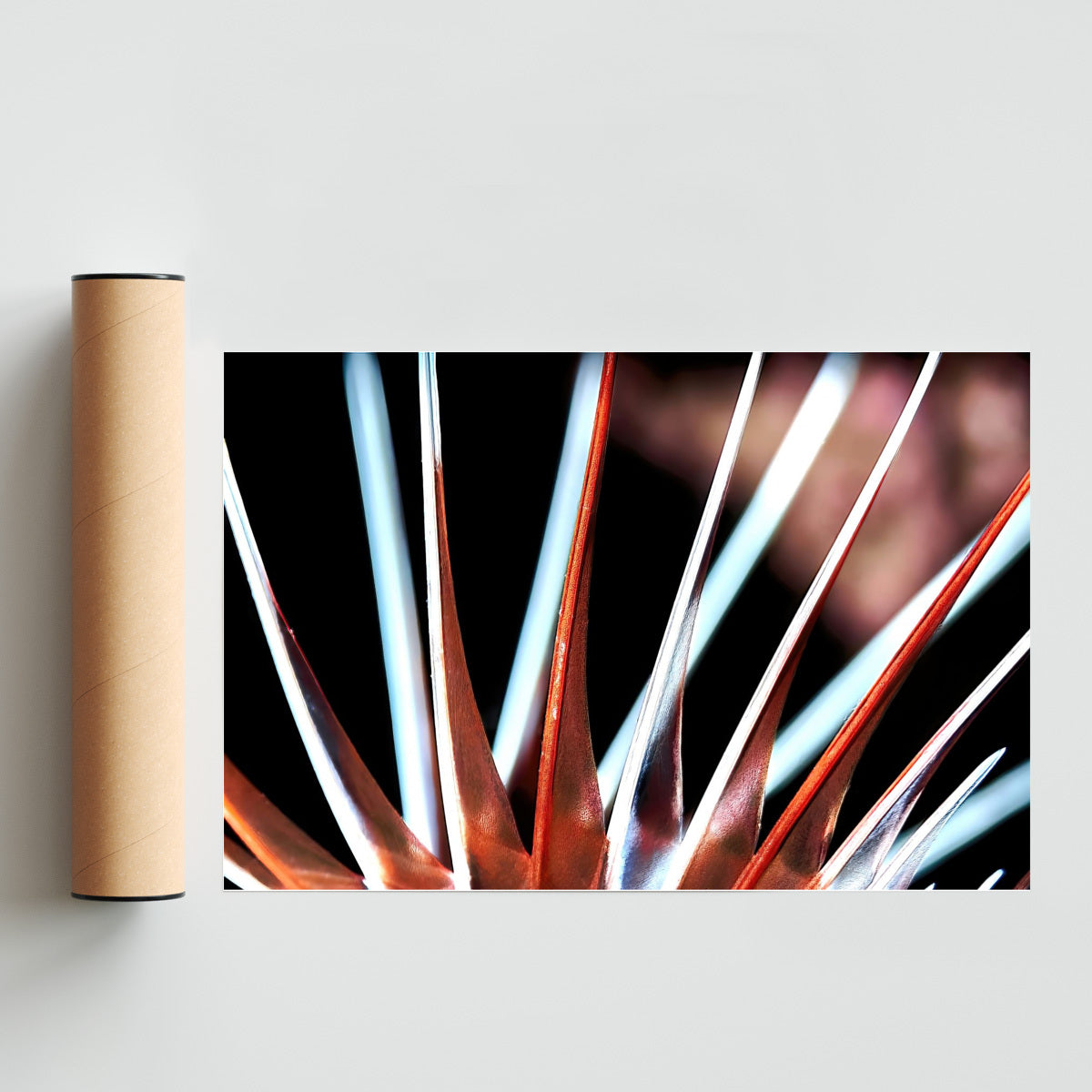 Espinas - FotoH solo print