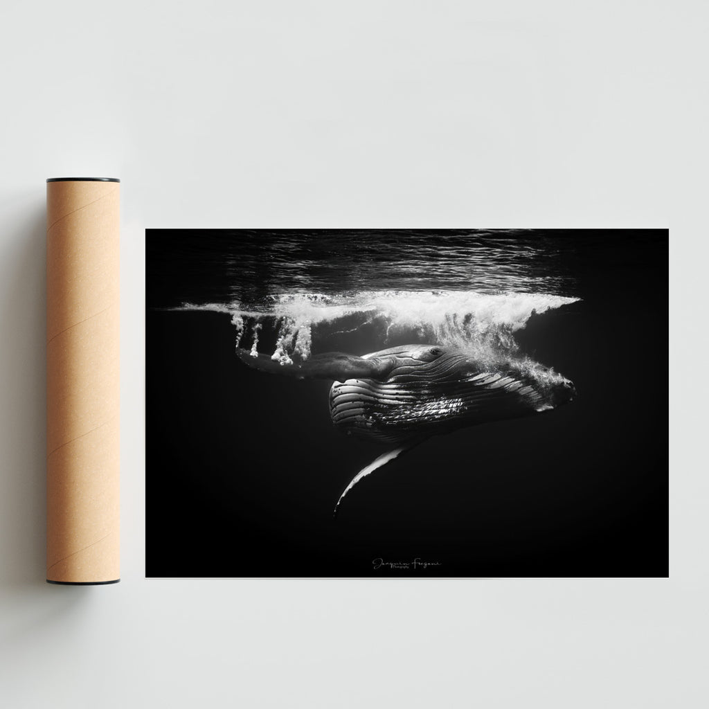 B&W - FotoH solo print