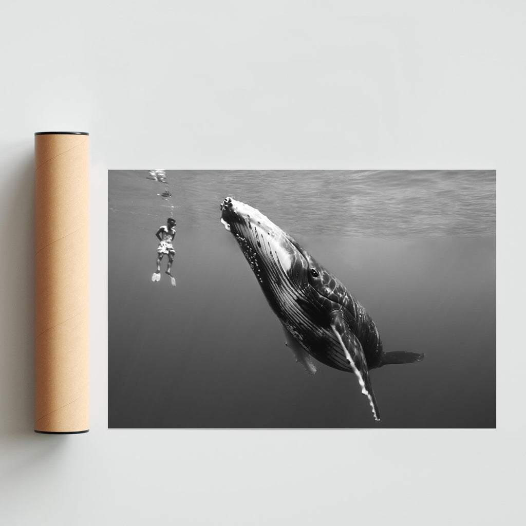 Conexión - FotoH solo print
