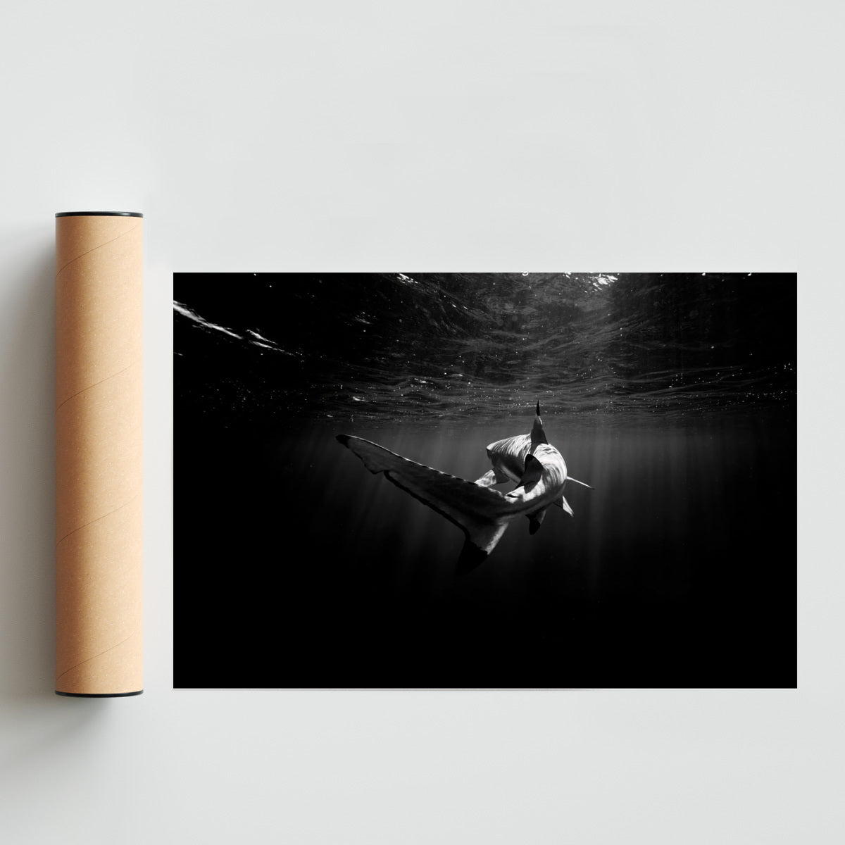 De atras - FotoH solo print