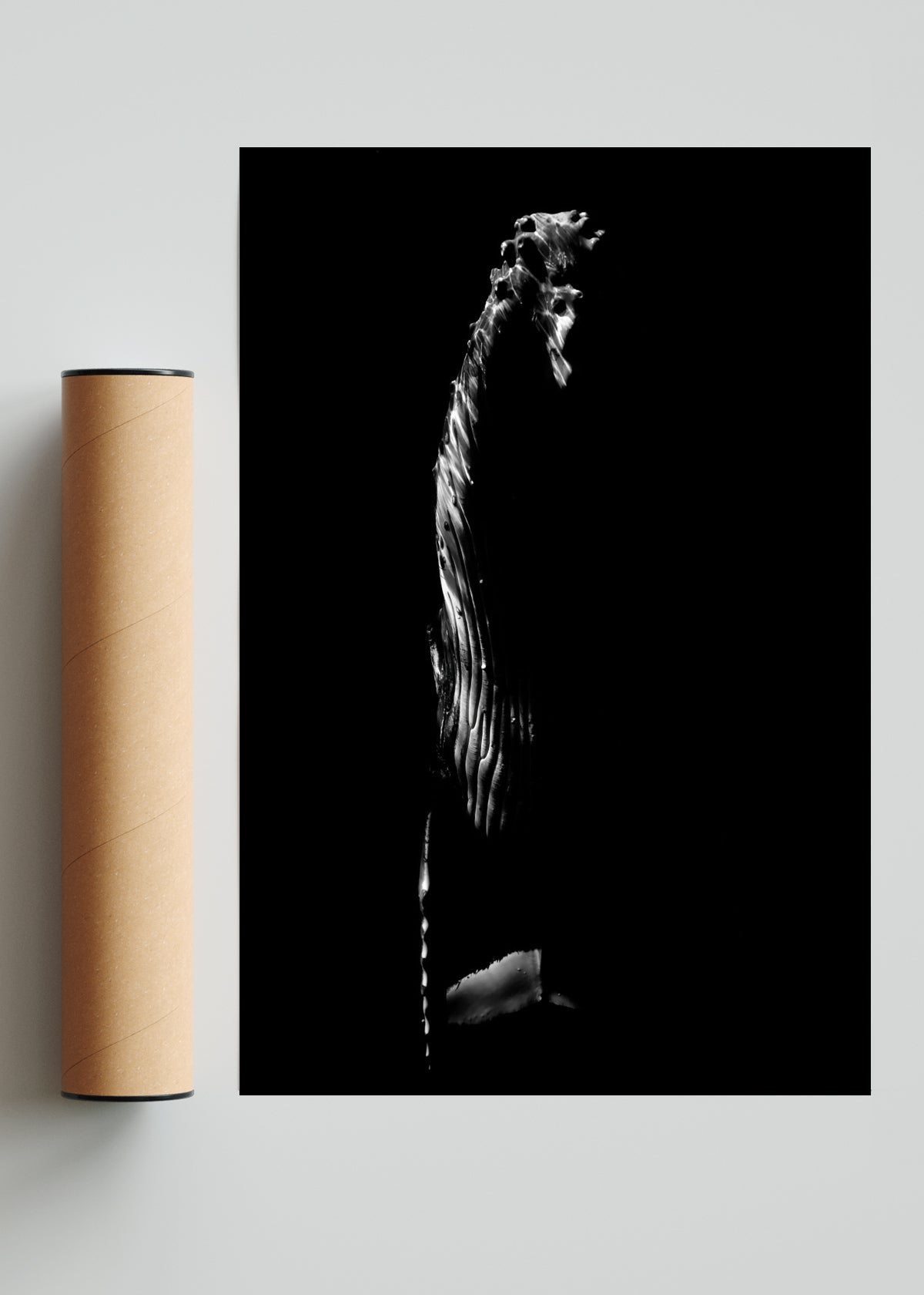 B&W Rise - FotoV Solo print