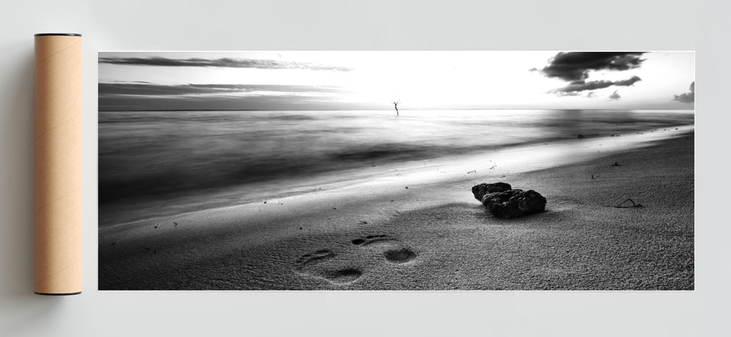 Prints - Pano H Solo print