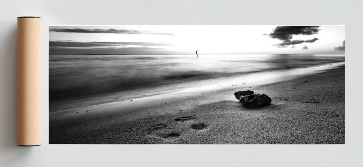 Prints - Pano H Solo print