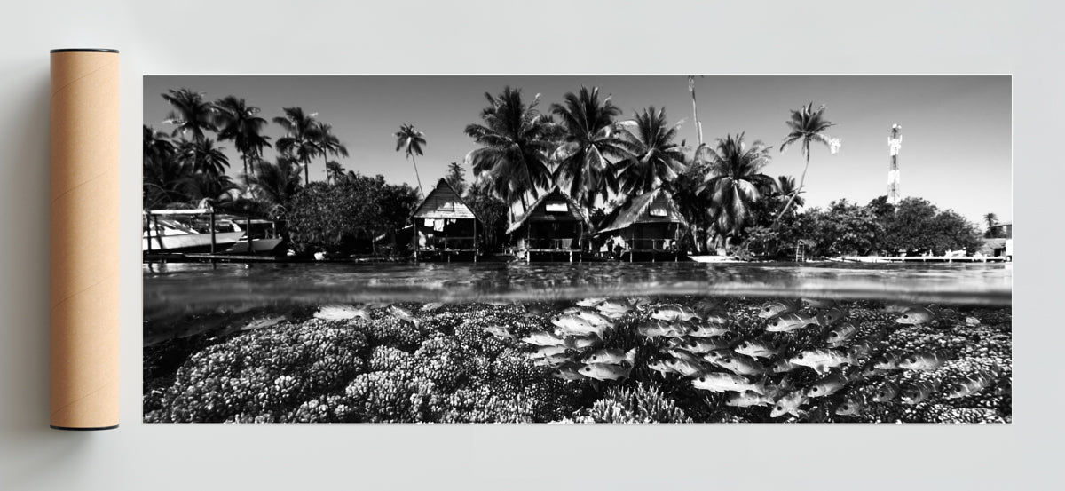 Dos mundos - Pano H Solo print